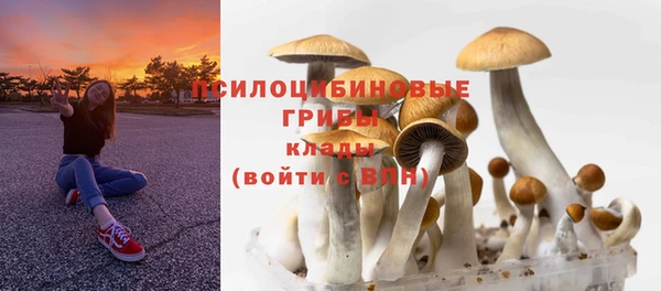 марихуана Каменногорск