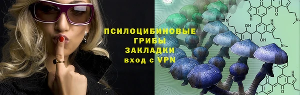 бутират Каменка