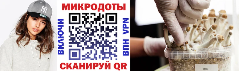 Купить  Голицыно  Псилоцибиновые грибы мухоморы 